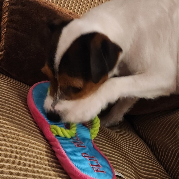 @bethybd GIVEAWAY At LIVE Show Today🎁Plan To Join Us! - Picture 15 of 16